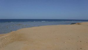 CORAL SUN BEACH