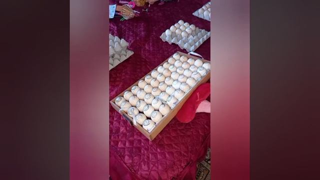 Инкубация индюшиного яйца Хайбрид Конвертер