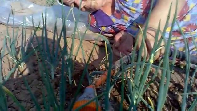 А воз и ныне там! смотреть онлайн