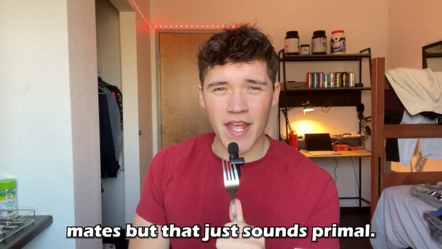 PROTEIN BAR TIER LIST || Which Is The Best? смотреть онлайн