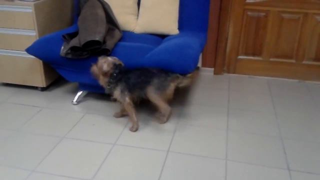 Филя жжот смотреть онлайн