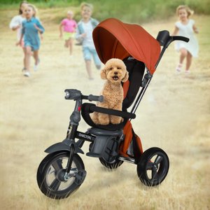 Детский велосипед  Nuovita Bamzione BE1