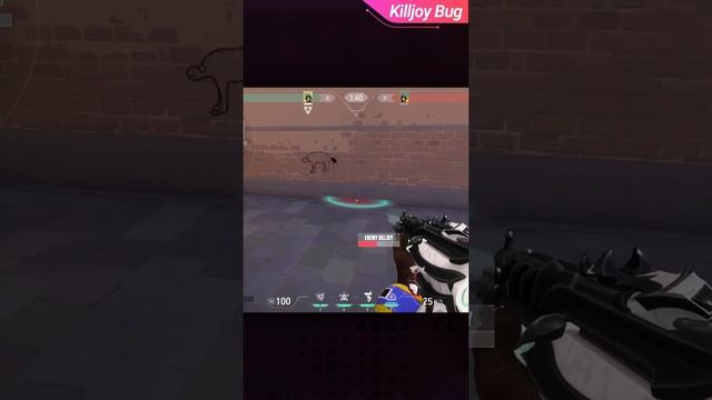 This Game Breaking Killjoy Bug Still Hasn't Been Patched - Valorant Tips, Tricks, and Guides