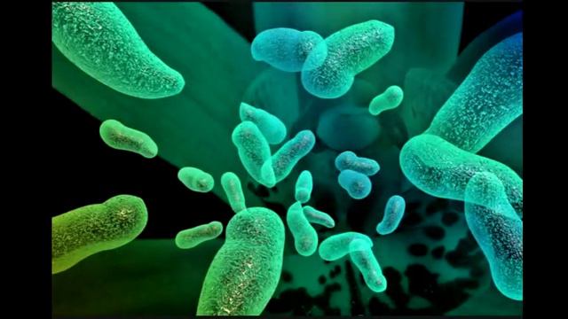 Как нормализовать работу кишечника