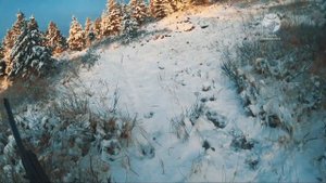 Охота на лося на реву 2019 на вездеходах SeverTrucks. БОЛЬШАЯ ДОБЫЧА