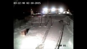 Волк против сторожевой собаки/Wolf VS Guard Dog 2 CamVideos