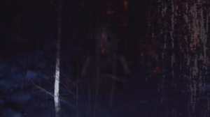 Порез на Собаке - Променадная