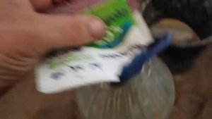 Как Пропоить Бройлеров от Кокцидиоза/ Профилактика