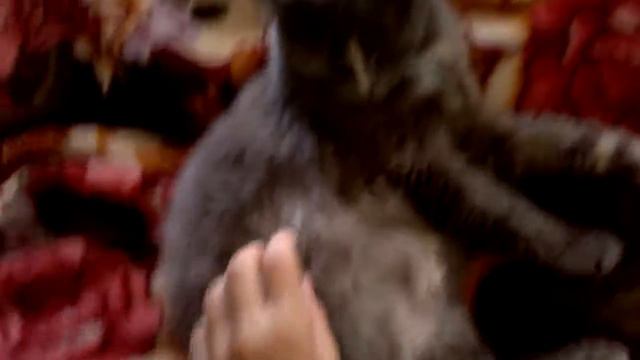 My news/ мои новости❤ смотреть онлайн