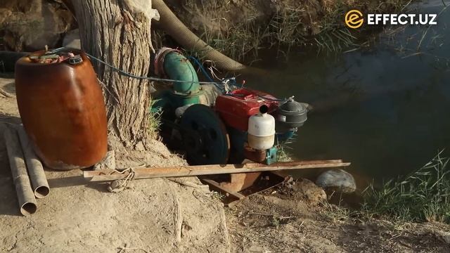 ШОЛИ МАСАЛАСИ: СУВСИЗЛИКДАН ПАХТАЛАР КУЙИБ КЕТДИ – ҚЎНҒИРОТЛИК ФЕРМЕР ДАРДИНИ КИМГА АЙТСИН?–EFFECTU смотреть онлайн