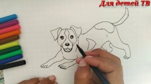 КАК НАРИСОВАТЬ СОБАКУ/ITNI RASMINI CHIZISH/ИТТИ СУРОТУН ТАРТУУ/Иттын суретін салу/HOW TO DRAW A DOG