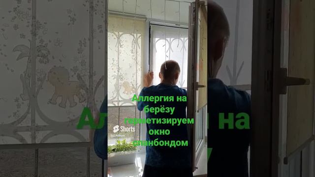 Аллергия на берёзу герметизируем окно спанбондом #shorts