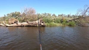 Рыбалка Припять,  лодка HUNTER 360,  Трофейный жерих 3,5кг, два Чеха на отдыхе в Беларуси