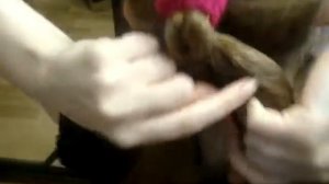 Прическа Рыбий хвост