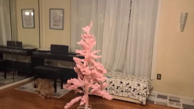 ТАНЦЫ В США ОТЧАЯННОЙ ДОМОХОЗЯЙКИ, ВОКРУГ ЕЛКИ..НЕ СЛЕДУЙТЕ ЗА ТОЛПОЙ...С НАСТУПАЮЩИМИ❤️? смотреть онлайн