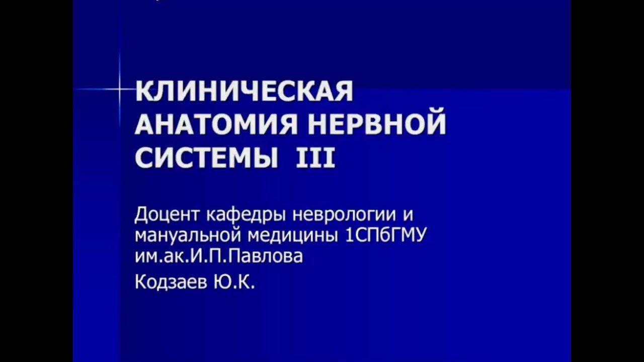 Кодзаев Ю.К. Клиническая анатомия нервной системы III. смотреть онлайн