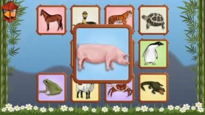 Развивающие мультики  карточки Домана   животные, для детей от 6 месяцев