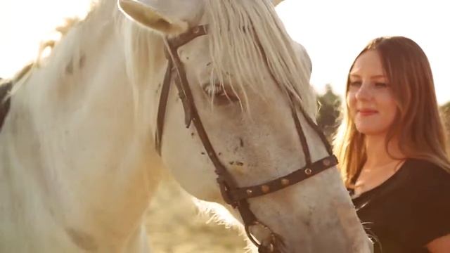 База отдыха Берег смотреть онлайн