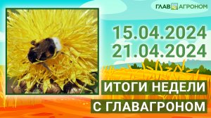 Итоги недели с ГлавАгроном. 15.04.2024 - 21.04.2024