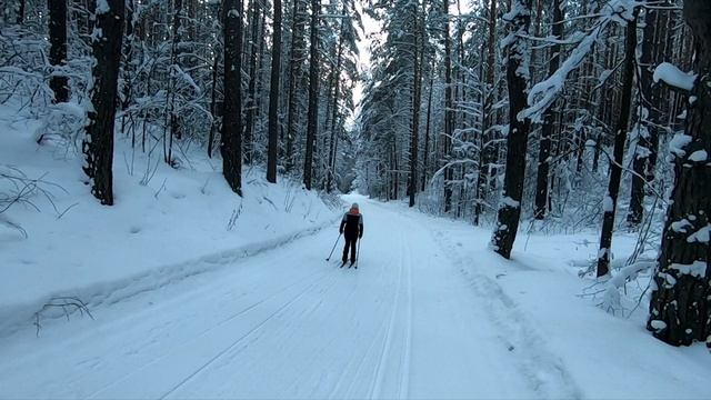 Кроскантри лыжи в январские морозы в Волжске