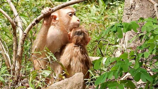 First Day at Savanna Home So Afraid with all Savanna's Friend смотреть онлайн