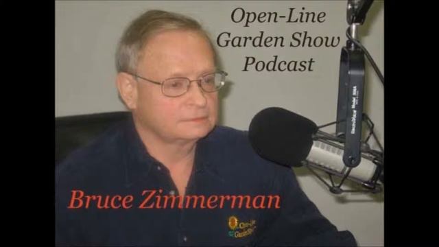 Gladioli & Lilies смотреть онлайн