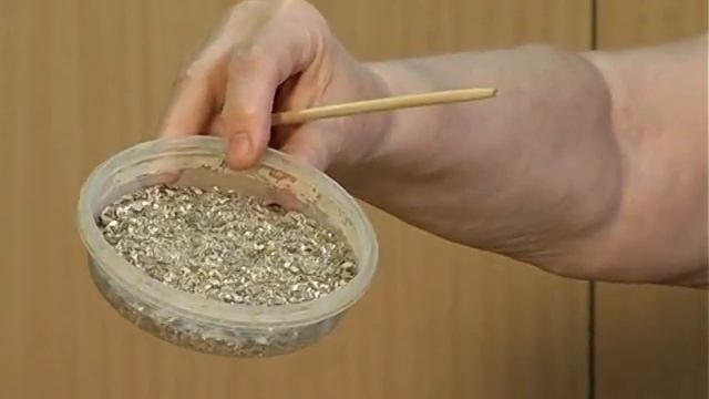 Терра рамки - майстер-клас