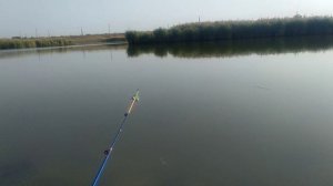 Бюджетная рыбалка на карася осенью.Снасть УБИЙЦА КАРАСЯ/Уловистая осенняя прикормка.Река Малый Утлю