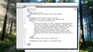 Размеры, цвет и фон HTML таблиц, ячеек и строк