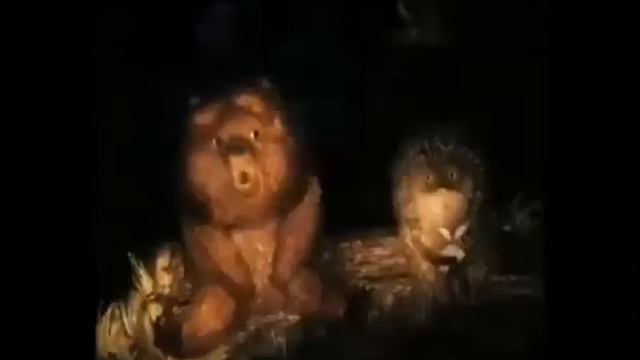 Медведь и Ёжик. Чистая эзотерика смотреть онлайн