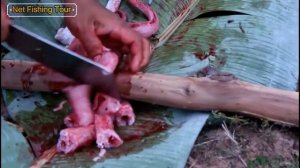 Хорошая еда - кулинарная змея в сельской местности - как приготовить змею в Камбоджеnull