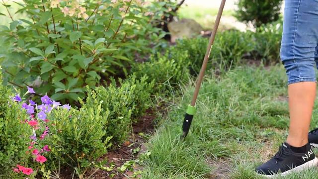 Booxwood Hedge Maintenance & Flower Bed Edging 🌿🌿 A day in the garden смотреть онлайн