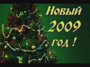 Новогодний спектакль в детском приюте Тракторозаводского района г. Челябинска (2009 год).