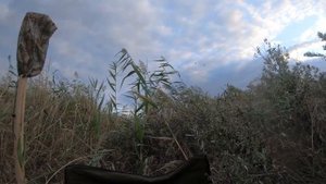 Охота на утку. С флюгерами и махокрылами.