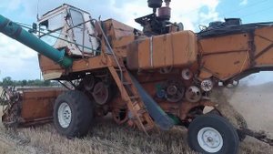 Комбайн Нива СК 5 уборка пшеницы