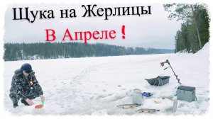 На Жерлицы , на Рыбалку по Глухому Озеру в Тайге! Закрытие Зимнего Сезона  UHD