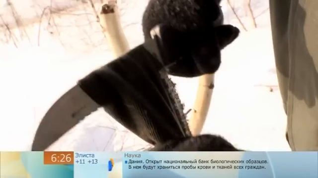 Самоспасение зимой.