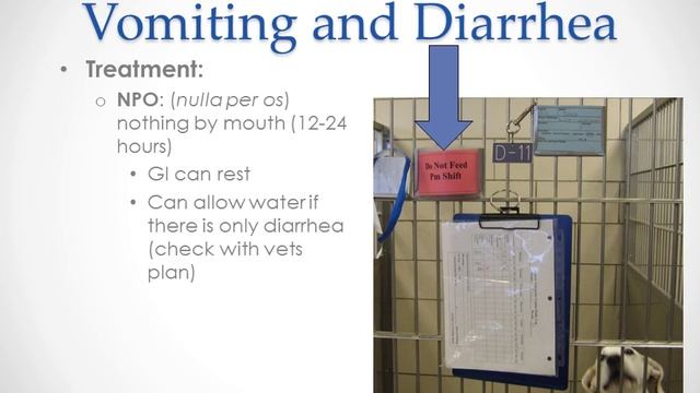 Gastrointestinal Diseases VET 130 AUTC смотреть онлайн