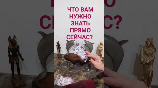 Если душа говорит нет, значит нет.#вераwedomira смотреть онлайн