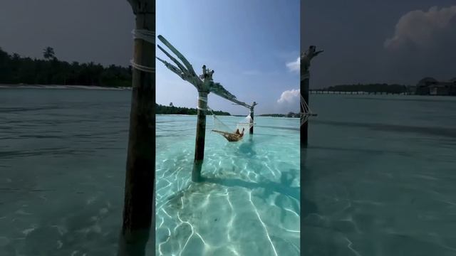 Если хотите, чтобы жизнь менялась в лучшую сторону, задавайте каждый день себе правильные вопросы