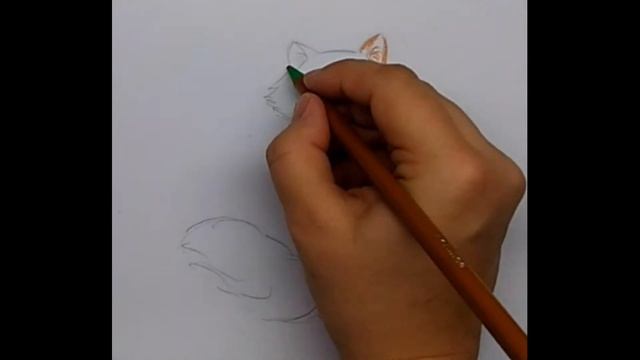 Как нарисовать милого котенка. Просто и красиво Нарисовать кошку