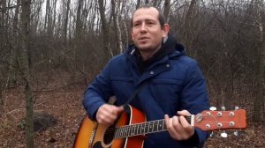 Николай Анисимов - Грачи Прилетели (кавер)