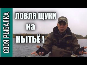 Ловля щуки осенью на нытьё!