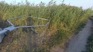 Рыбалка на Днестре.Сазан на горох и карась на удочку. 28-29.08 2022г. #сазан#рыбалка#днестр#карась