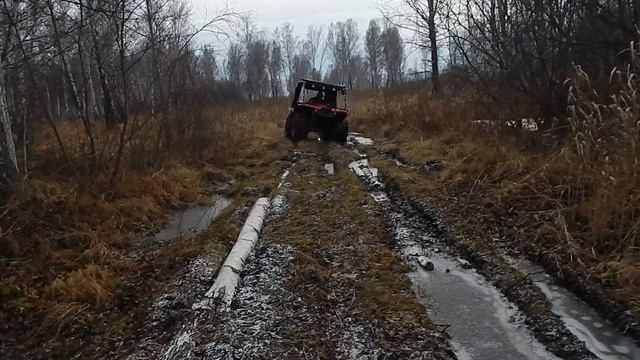 Квадроцикл росомаха.сокол.монстр в лесу.