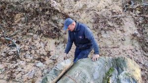 Stihl MS 880 & 47 " Duromatic E .