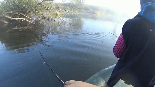 Щука на Спиннинг в середине сентября!#рыбалка#щука#спиннинг#щуканаспиннинг#река#сплав#жор#воблеры