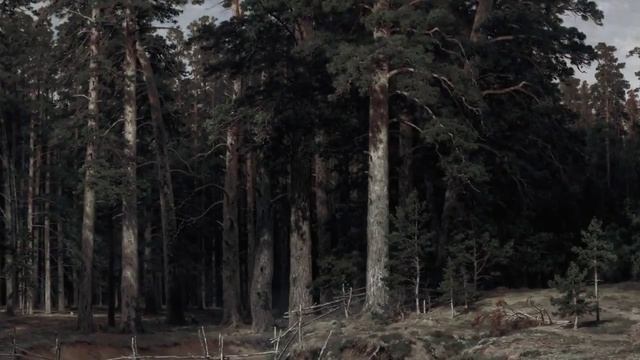 Ожившие картины смотреть онлайн