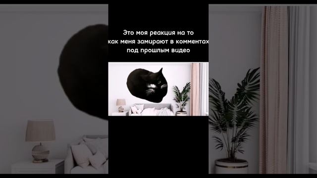 Я и в правду парю #рекомендации #коты #мем #рек #rge