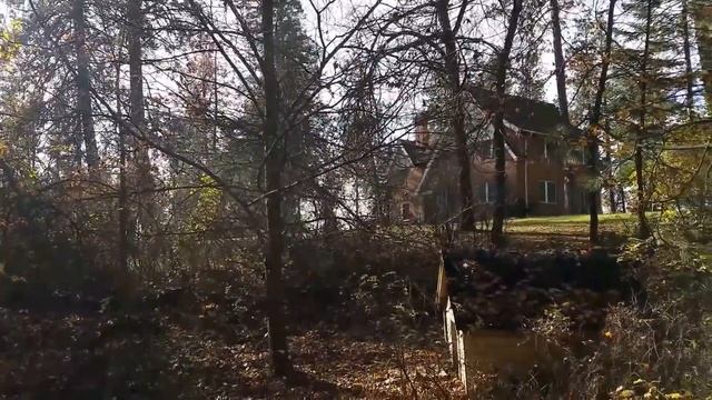 США/ПО ГРИБЫ ПО ЯГОДЫ с ПАПОЙ и ДЖЕК РАССЕЛОМ/АМЕРИКАНСКАЯ ПСИХУШКА/ смотреть онлайн